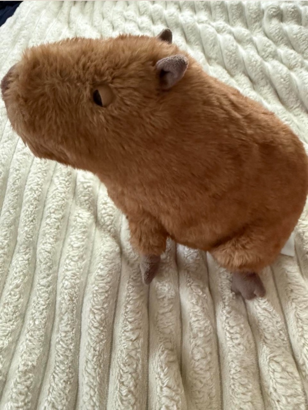 Retired Jellycat Clyde Capybara - Picture 2 of 3